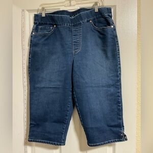 Gloria Vanderbilt Blue Stretch Denim Skimmers